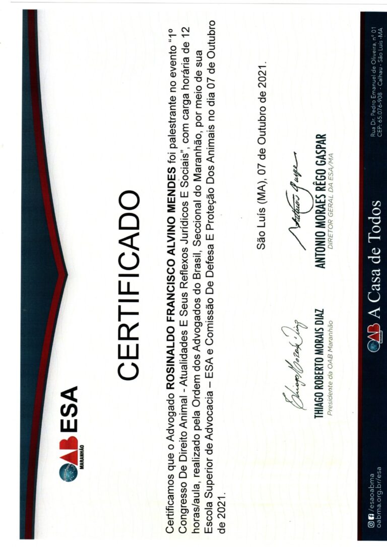 WhatsApp Image 2025-12-18 at 17.12.22 (13)